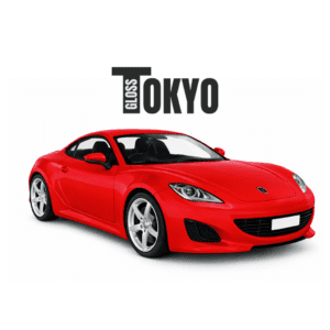 DIY full car matte PPF kit for complete paint protection with satin finish